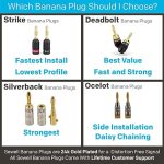 Sewell Direct SW-29751-6 Silverback Banana Plugs in kenya at mtronics audio shop - Image 3