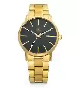 Louis Richard Gold Tone Men's Watch in kenya at mtronics audioshop