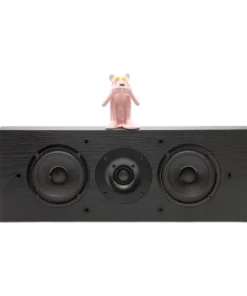 Pioneer SP-C22 Center Channel Speaker in kenya at mtronics audio shop
